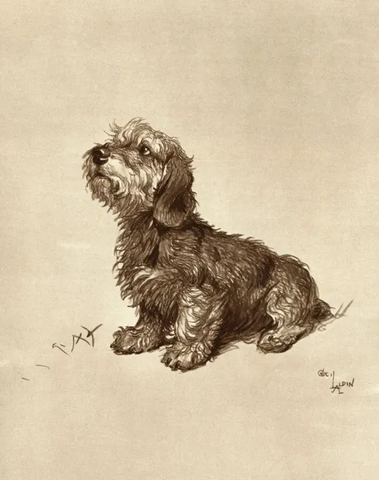 Framed Print : Ticked Off by Cecil Aldin Framed Print : Ticked Off by Cecil Aldin