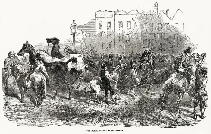 Framed Print : Traders and animals at the Smithfield Horse Market in London. This chaotic scene shows the danger of the market, with a large number of excited or upset animals in close proximity. Date: 1849 Framed Print : Traders and animals at the Smithfield Horse Market in London. This chaotic scene shows the danger of the market, with a large number of excited or upset animals in close proximity. Date: 1849