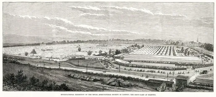 Framed Print : View of the International Exhibition of the Royal Agricultural Society in London - the show-yard at Kilburn. Date: 1879 Framed Print : View of the International Exhibition of the Royal Agricultural Society in London - the show-yard at Kilburn. Date: 1879