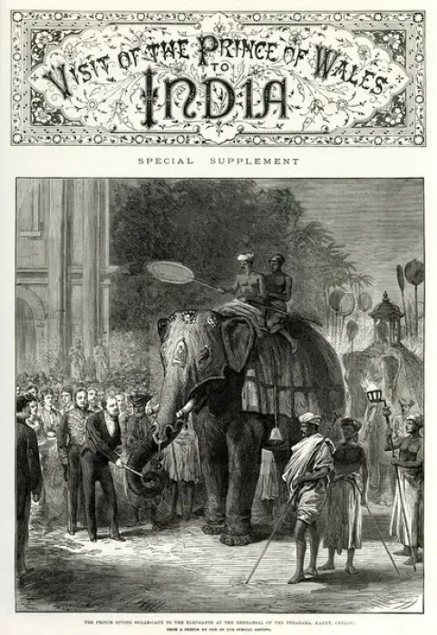 Framed Print : Visit of the Prince of Wales to India - elephants Framed Print : Visit of the Prince of Wales to India - elephants