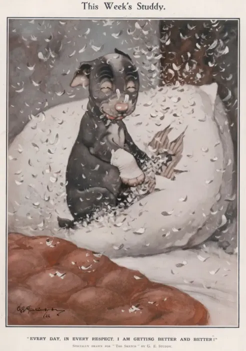 Framed Print : This Weeks Studdy - (Pillow) Framed Print : This Weeks Studdy - (Pillow)