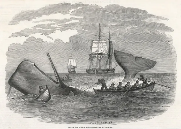 Framed Print : Whaling  /  South Seas 1847