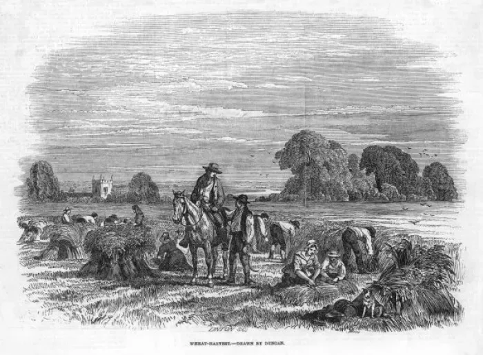 Framed Print : Wheat Harvest, 1846 Framed Print : Wheat Harvest, 1846
