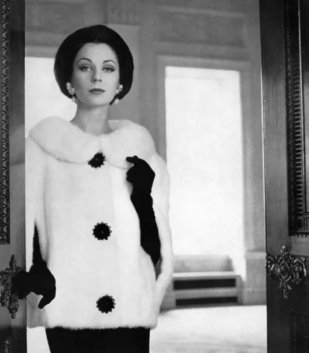 Framed Print : White jasmine mink cape-jacket by Bradleys Framed Print : White jasmine mink cape-jacket by Bradleys