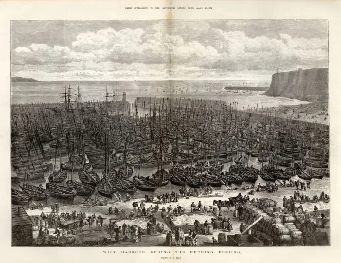Framed Print : Wick harbour during the herring season, 1875 Framed Print : Wick harbour during the herring season, 1875