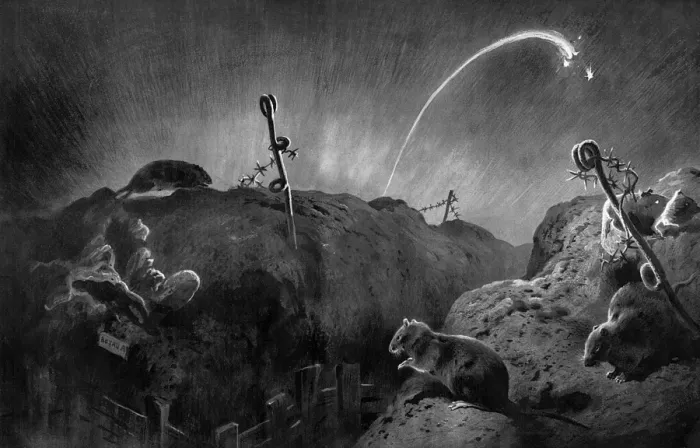 Framed Print : Wild Life on the Western Front - Rats in the Trenches Framed Print : Wild Life on the Western Front - Rats in the Trenches