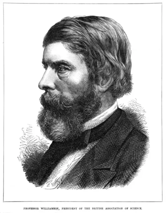 Framed Print : William C Williamson