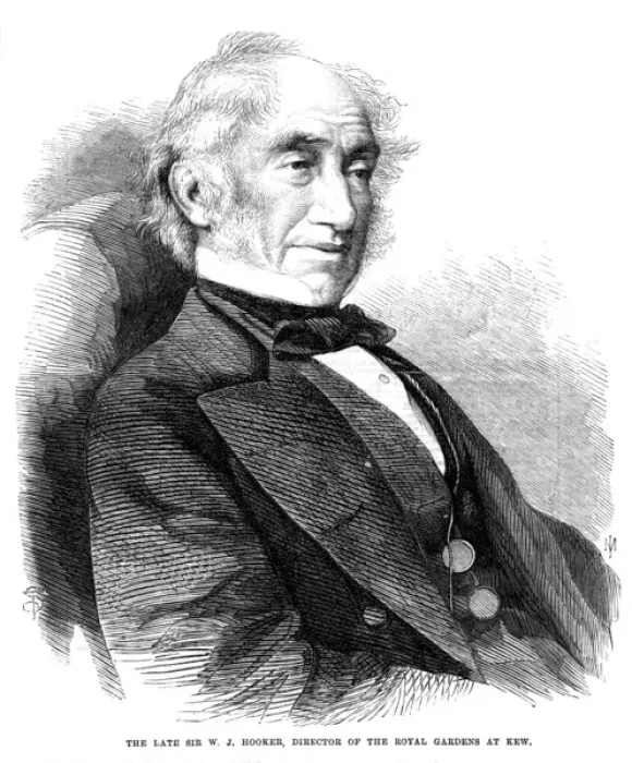 Framed Print : William Jackson Hooker