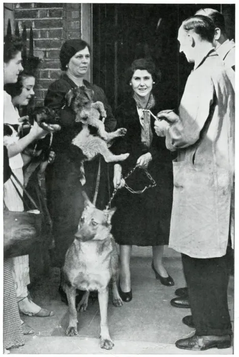Framed Print : Women queuing with their dogs for RSPCA advice, Sept 1939 Framed Print : Women queuing with their dogs for RSPCA advice, Sept 1939