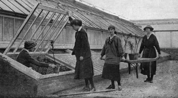Framed Print : Women working in the hothouses at Windsor, WW1 Framed Print : Women working in the hothouses at Windsor, WW1