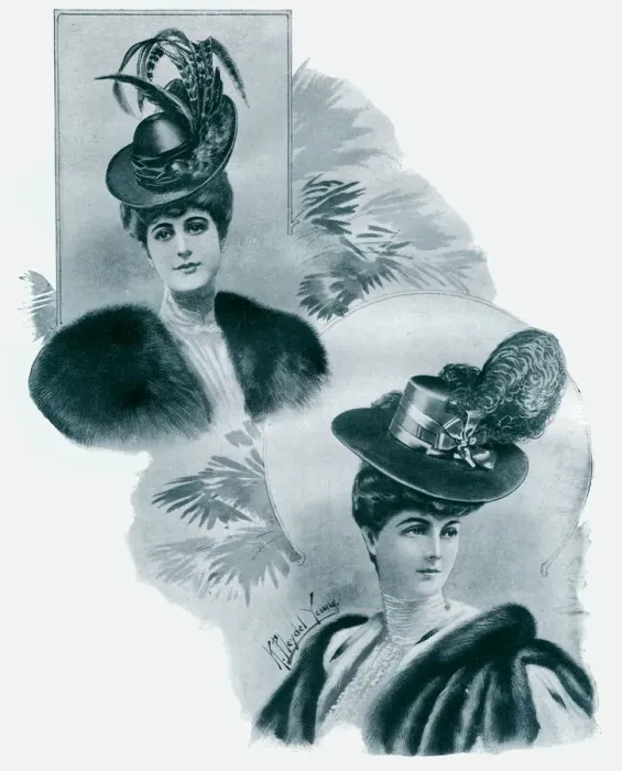 Framed Print : Womens hats 1905 Framed Print : Womens hats 1905