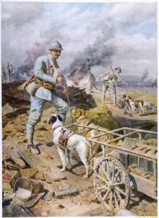 Framed Print : World War I dog carts Framed Print : World War I dog carts