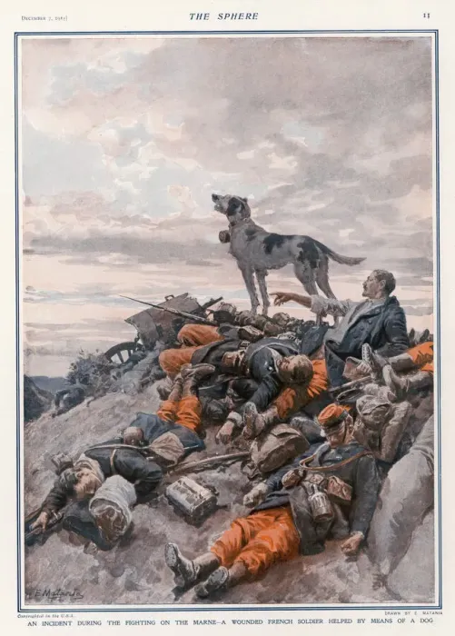 Framed Print : Wounded Saved by Dog Framed Print : Wounded Saved by Dog