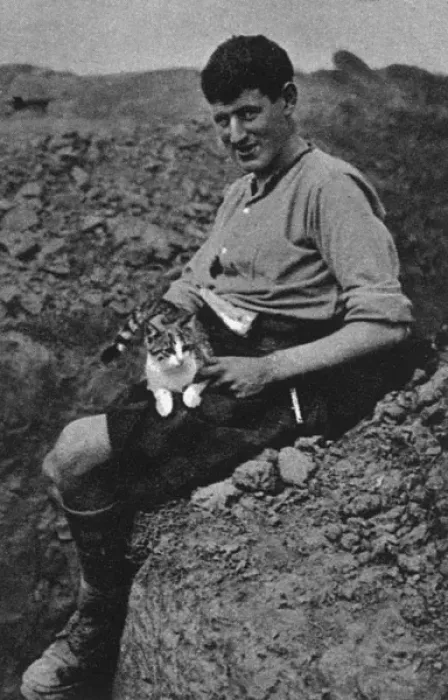 Framed Print : WW1 mascots: a trench cat Framed Print : WW1 mascots: a trench cat