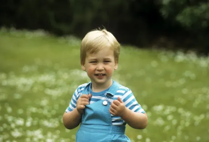Framed Print : A young Prince William Framed Print : A young Prince William