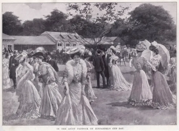 Framed Print : Zinfandels Cup Day, Ascot
