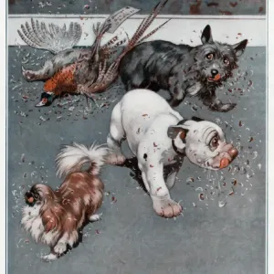 Bonzo, Chee-Kee and Jock by George Studdy Bonzo, Chee-Kee and Jock by George Studdy