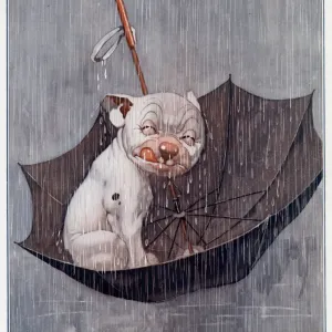 Prints of : Bonzo