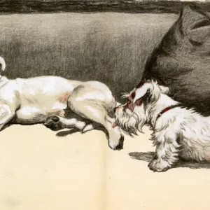 The Bully by Cecil Aldin