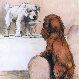 Heres How by Cecil Aldin