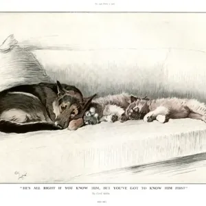 Hes All Right if you Know Him by Cecil Aldin