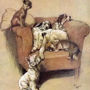 Prints of : Cecil Aldin