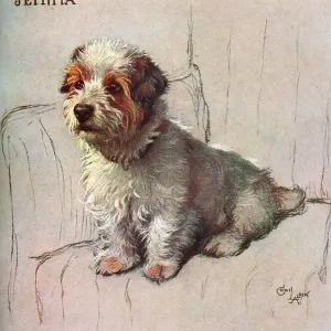 Jemima! Drawn by Cecil Aldin