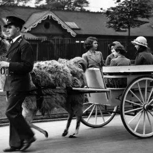 Princess Elizabeth, Princess Margaret at the zoo Princess Elizabeth, Princess Margaret at the zoo