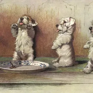 For What We Are About to Receive by Cecil Aldin