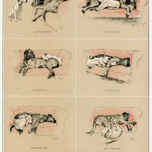 Sleeping Partners and Dissolved Partnership, Cecil Aldin
