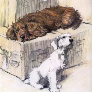 Can t We Come Too? by Cecil Aldin