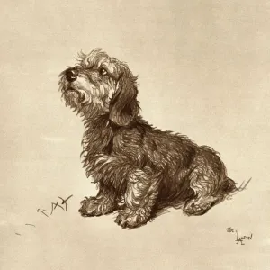 Ticked Off by Cecil Aldin