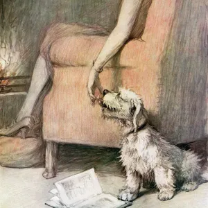 This Weeks Woggles! XV. - Affection by Cecil Aldin
