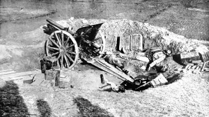 Field Prints: An abandoned field gun in the track of the Austrian army, in Serbia