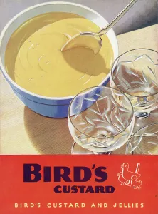 Britannia Prints: Advertisement for Bird's Custard on the back cover of Britannia & Eve magazine