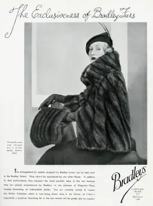 Quality Prints: Advert for Bradleys quality mink 1934