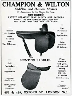 Majesty Prints: Advert for Champion & Wilson, saddlers & harness makers 1927