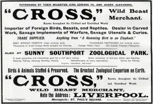 Unusual Prints: Advertisement for Cross - Wild Beast Merchant, Liverpool