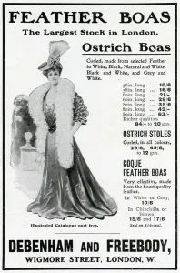 Feathered Prints: Advert for Debenham & Freebody feather boas 1905
