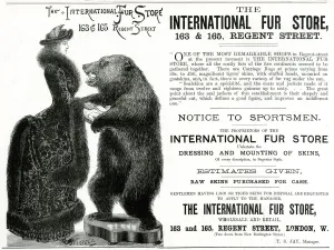 Furs Prints: Advert for International Fur Store 1882