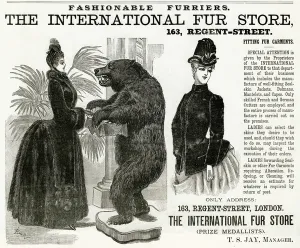 Skins Prints: Advert for International Fur Store 1886