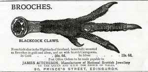 Jewellery Prints: Advert for James Aitchison brooches 1883