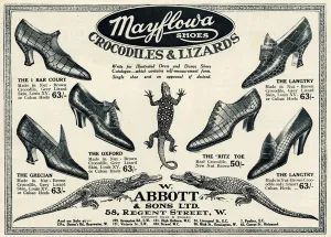 Heel Prints: Advert for Mayflowa crocodile and lizard womens shoes 1923