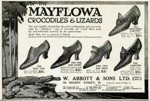 Heel Prints: Advert for Mayflowa crocodile and lizard womens shoes 1923
