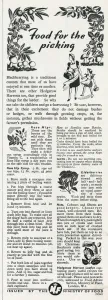 Encouraging Prints: Advert for the Ministry of Food 1943