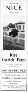 Unusual Prints: Advertisement for the Nice Ostrich Farm