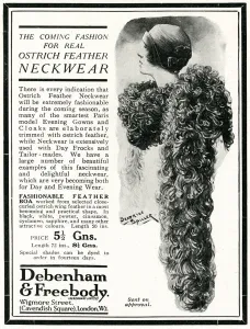 Stole Prints: Advert for Peter Robinson ostrich feather neckwear 1924
