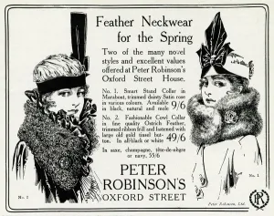 Ostrich Prints: Advert for Peter Robinsons feather neckwear 1916