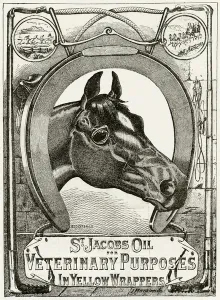 Cure Prints: Advert for St Jacobs Oil in yellow wrappers 1888