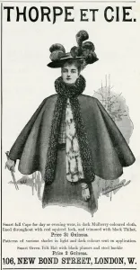 Evening Prints: Advert for Thorpe et Cie womens clothing 1895